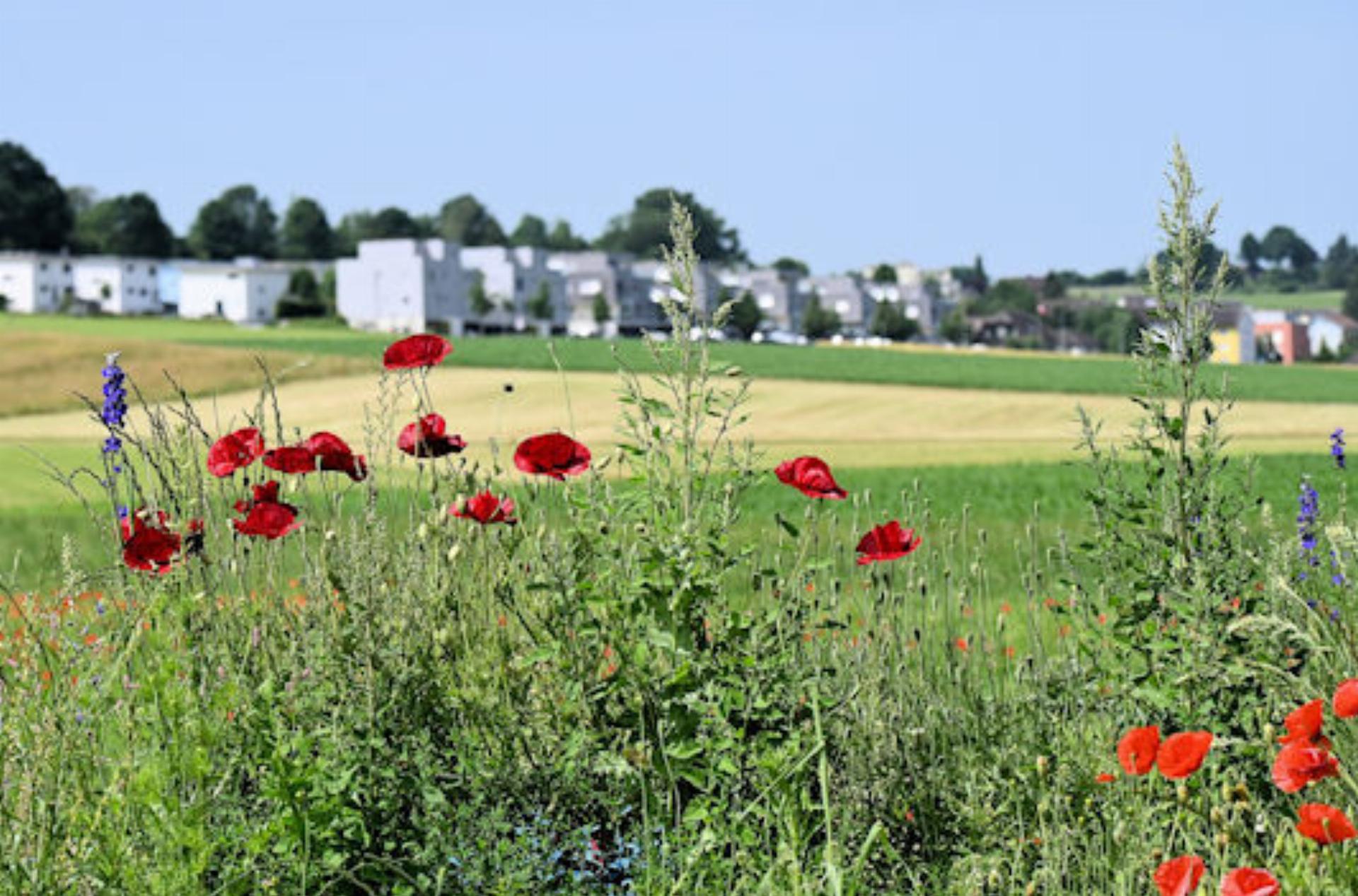 Tag der offenen Baustelle