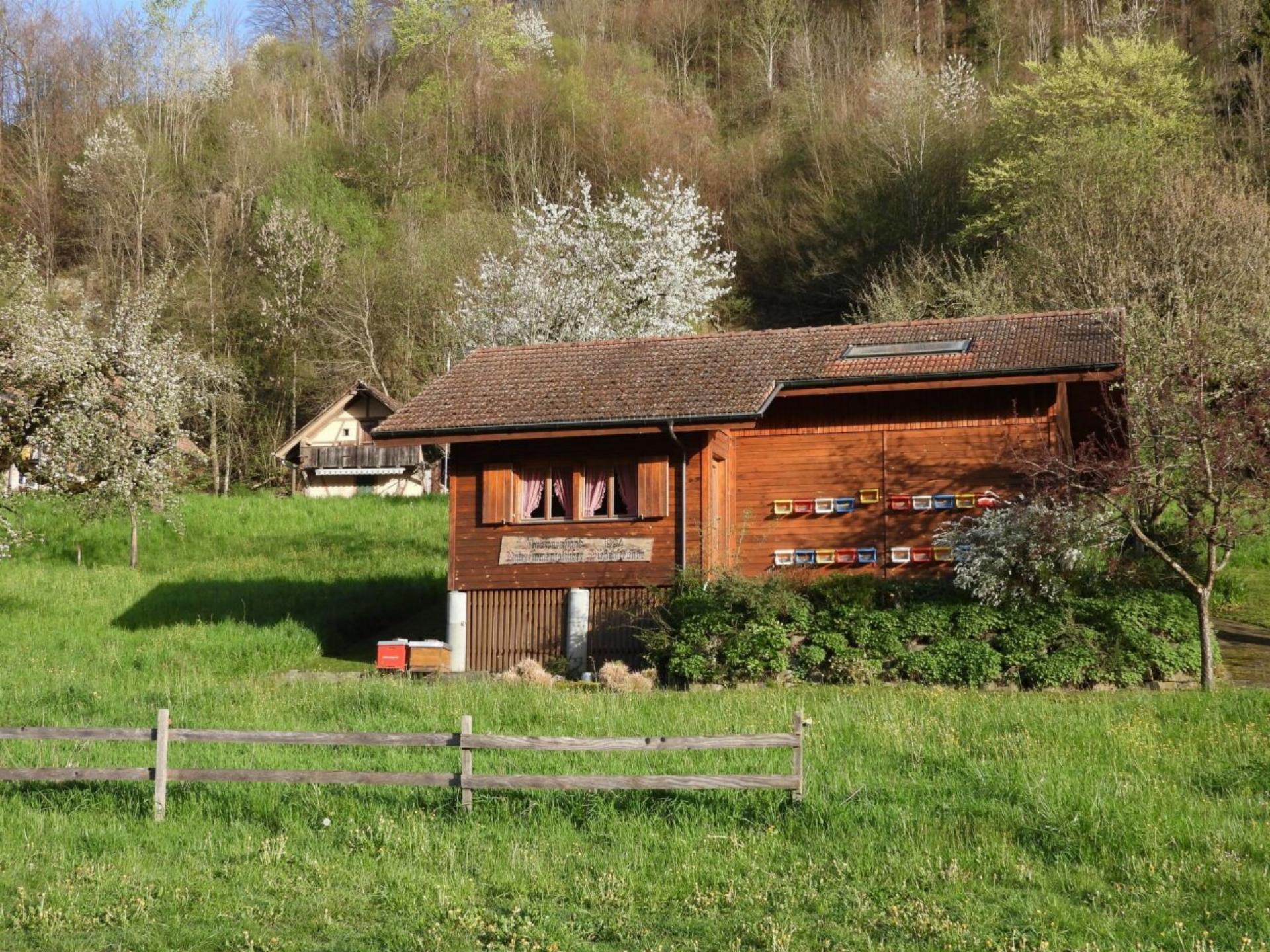 Grünes Licht für den Ausbau des Lehrbienenstands - Das Bild wird blockiert. – Möglicherweise durch einen aktiven Adblocker.