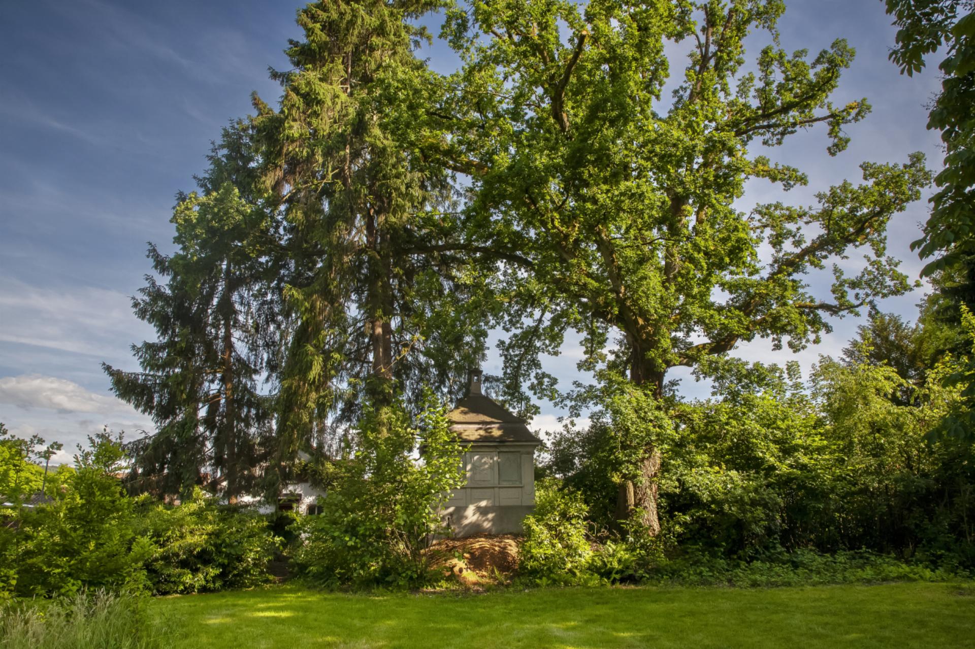 Picknick im englischen Garten