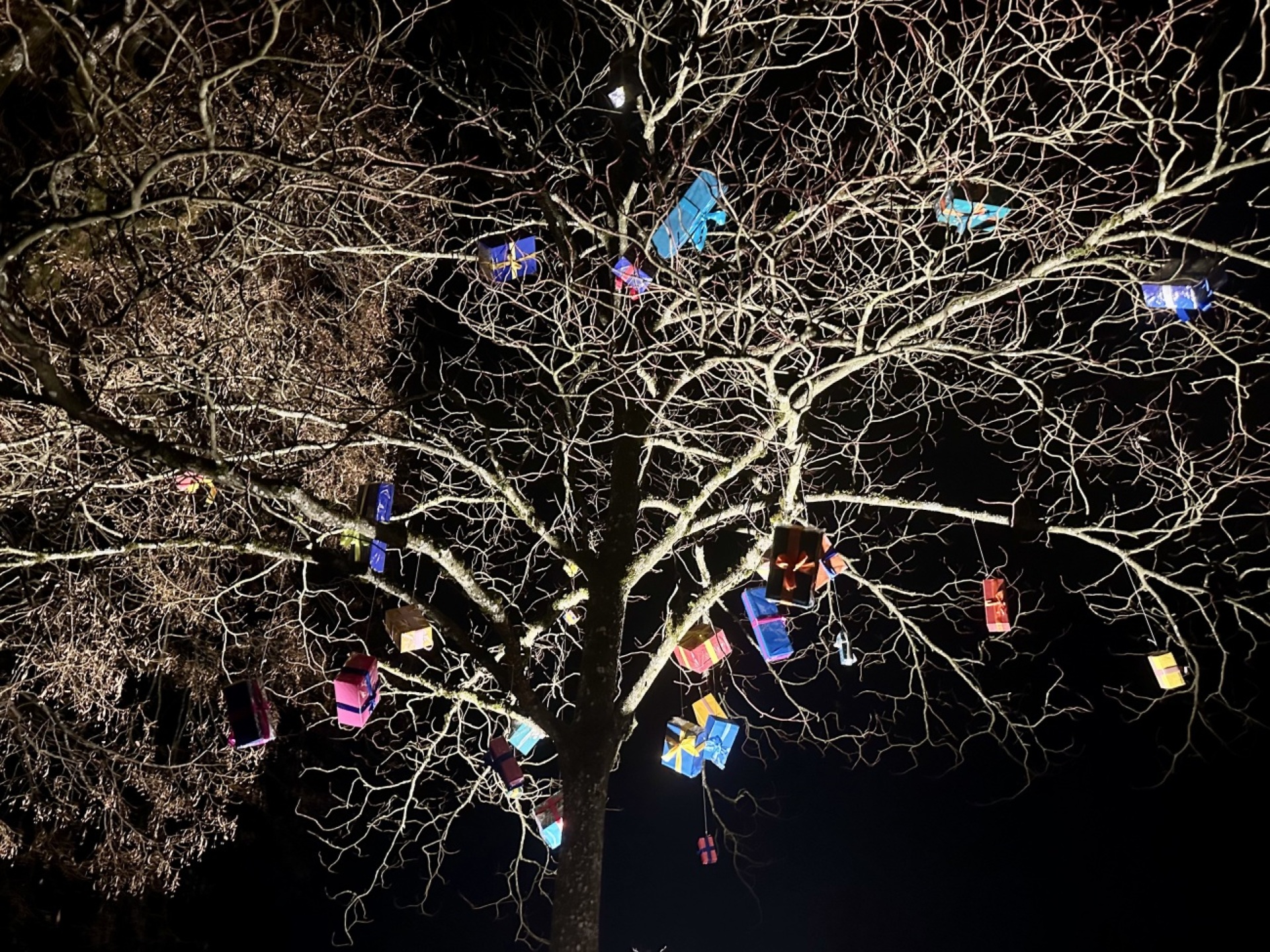 Wieso hat es Pakete im Baum? - Das Bild wird blockiert. – Möglicherweise durch einen aktiven Adblocker.