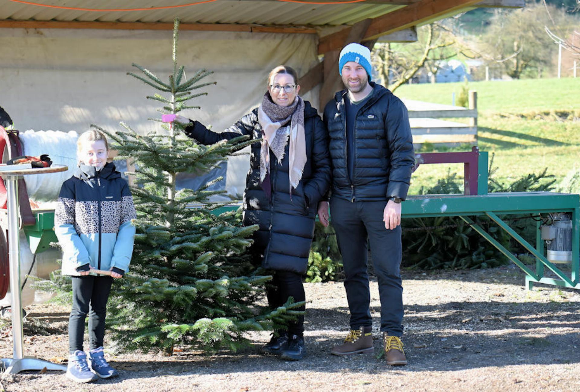 Es grünt so grün...der Tannenbaum - Das Bild wird blockiert. – Möglicherweise durch einen aktiven Adblocker.