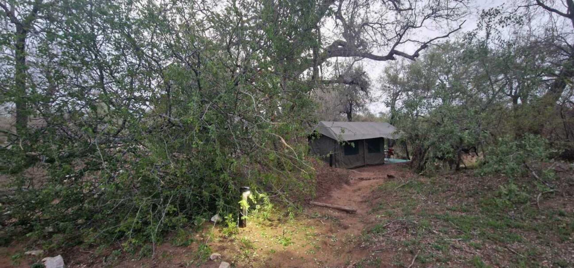 Ein Abenteuer durch den Süden Afrikas - Das Bild wird blockiert. – Möglicherweise durch einen aktiven Adblocker.