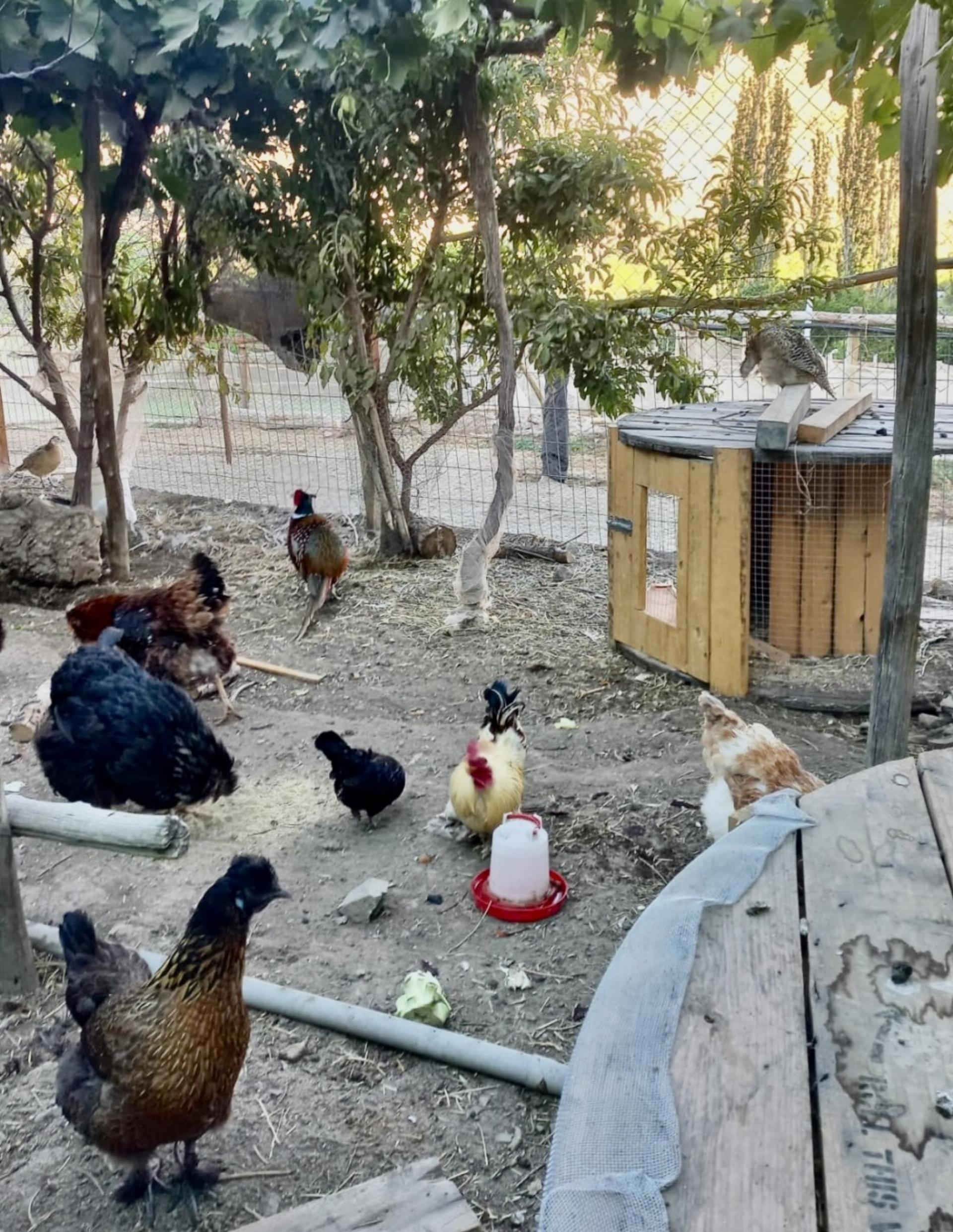 Dem Winter entfliehen - Das Bild wird blockiert. – Möglicherweise durch einen aktiven Adblocker.