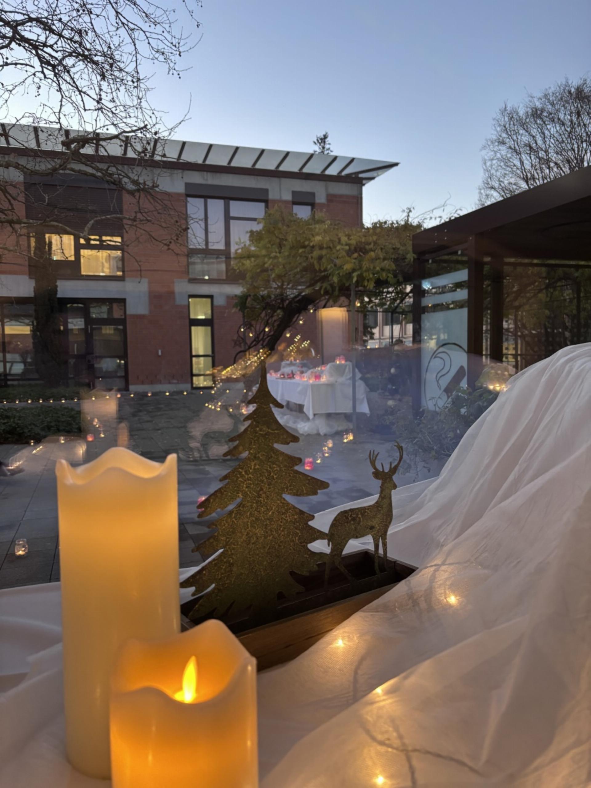 Stimmungsvoller Lichterweg - Das Bild wird blockiert. – Möglicherweise durch einen aktiven Adblocker.