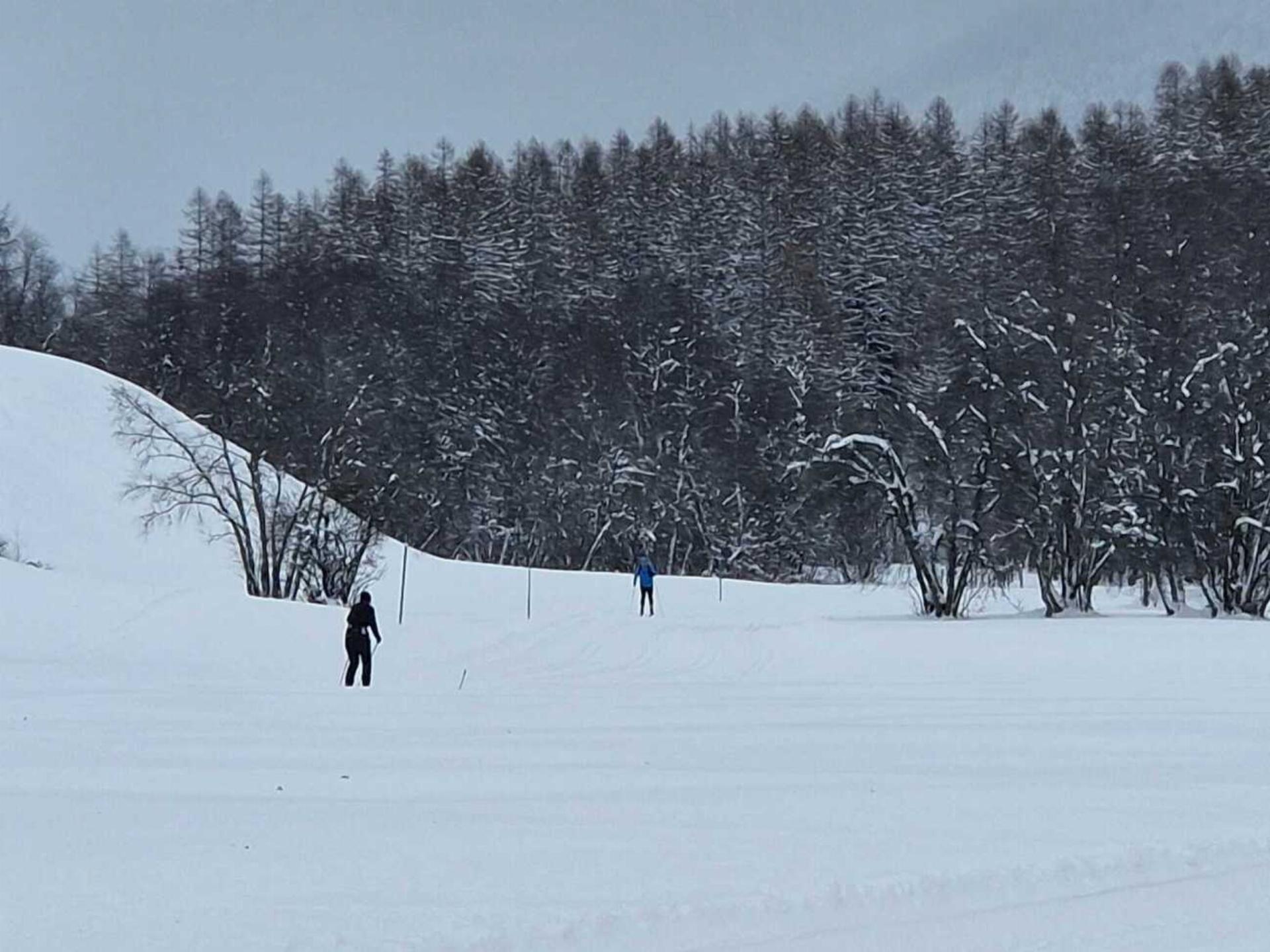 TV Hindelbank auf der Loipe - Das Bild wird blockiert. – Möglicherweise durch einen aktiven Adblocker.