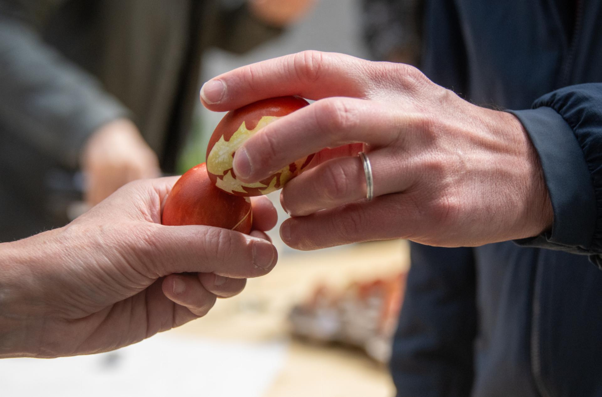 Viele getütschte Eier auf dem Kronenplatz - Das Bild wird blockiert. – Möglicherweise durch einen aktiven Adblocker.