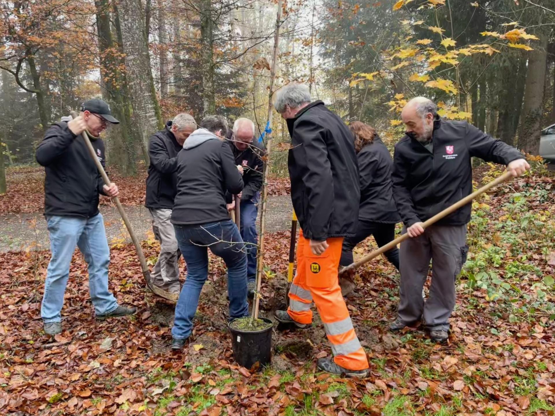 Die Burgergemeinde pflanzt den 200. Patenbaum - Das Bild wird blockiert. – Möglicherweise durch einen aktiven Adblocker.