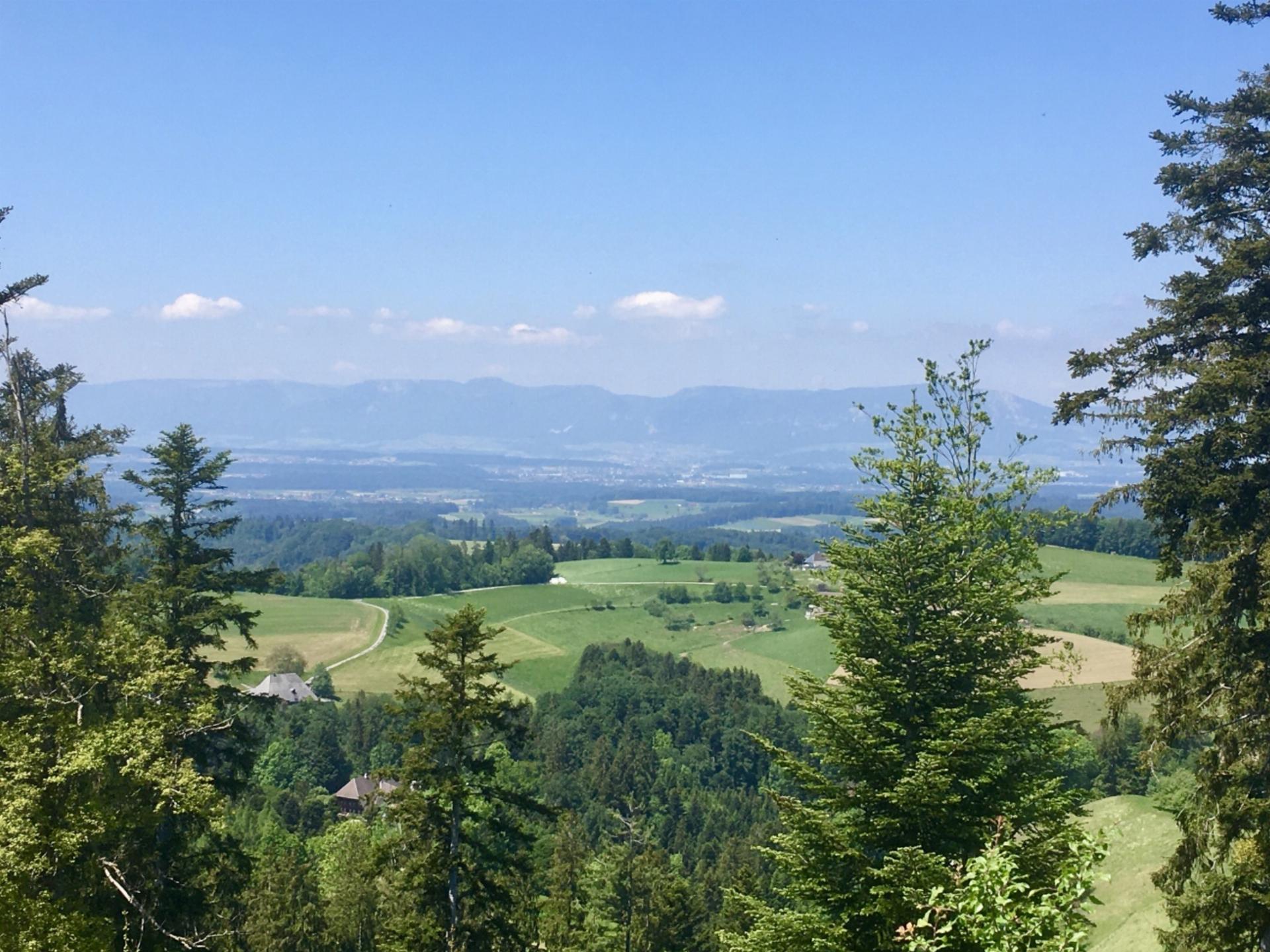 Regierungsratswahlen vom 29. März 2026 - Das Bild wird blockiert. – Möglicherweise durch einen aktiven Adblocker.