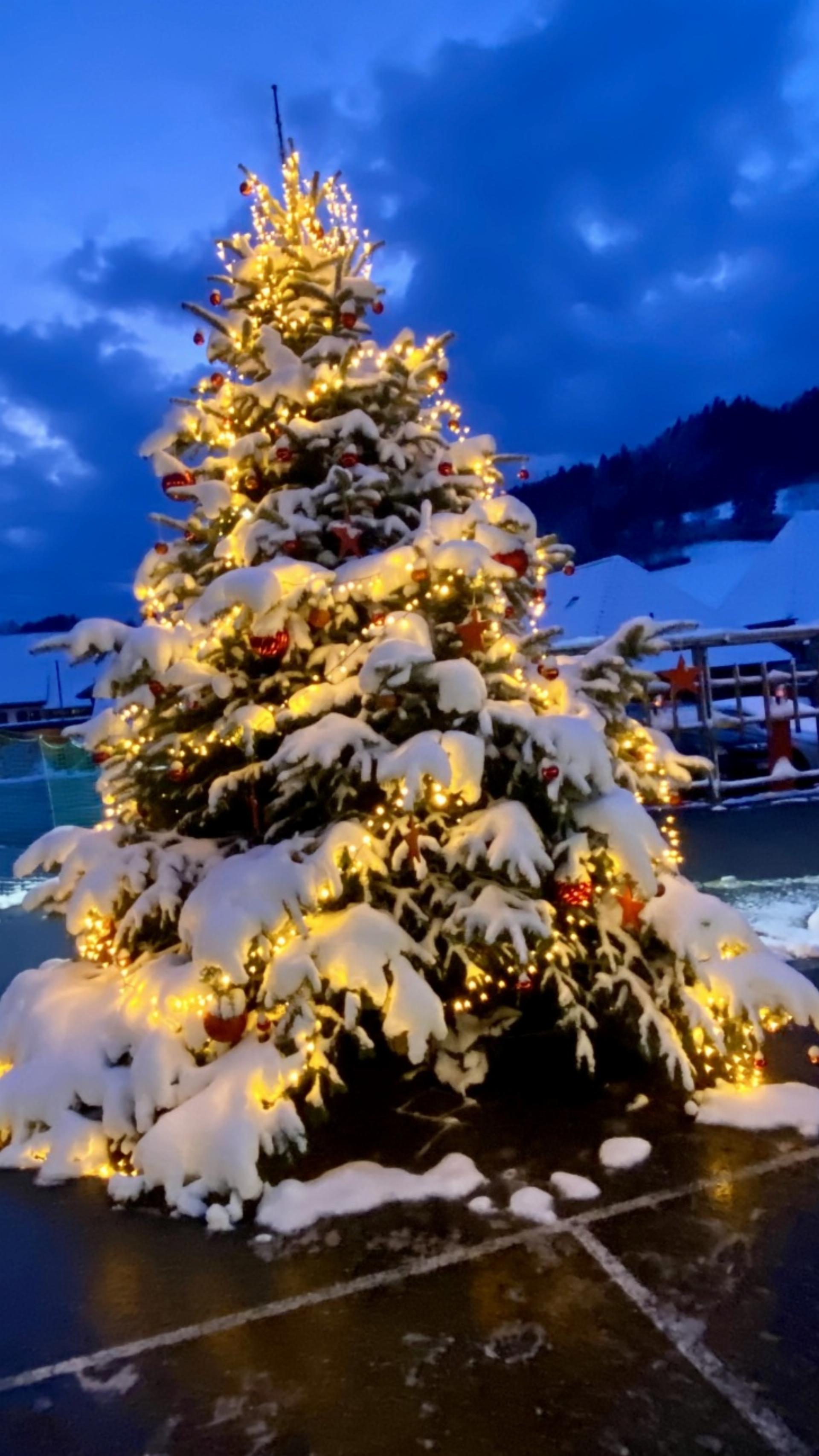 Zufriedene Gesichter am Heimiswiler Weihnachtsmarkt - Das Bild wird blockiert. – Möglicherweise durch einen aktiven Adblocker.