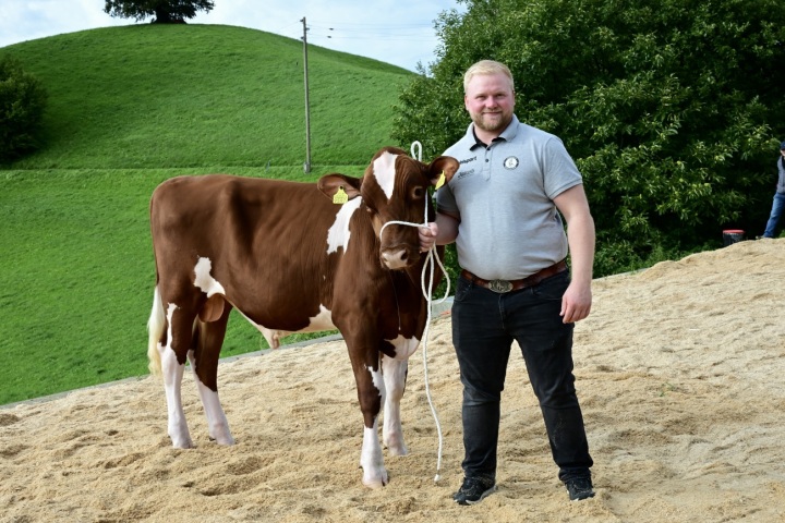 Remo Zürcher mit dem Siegermuni Force vo dr Lueg VII.