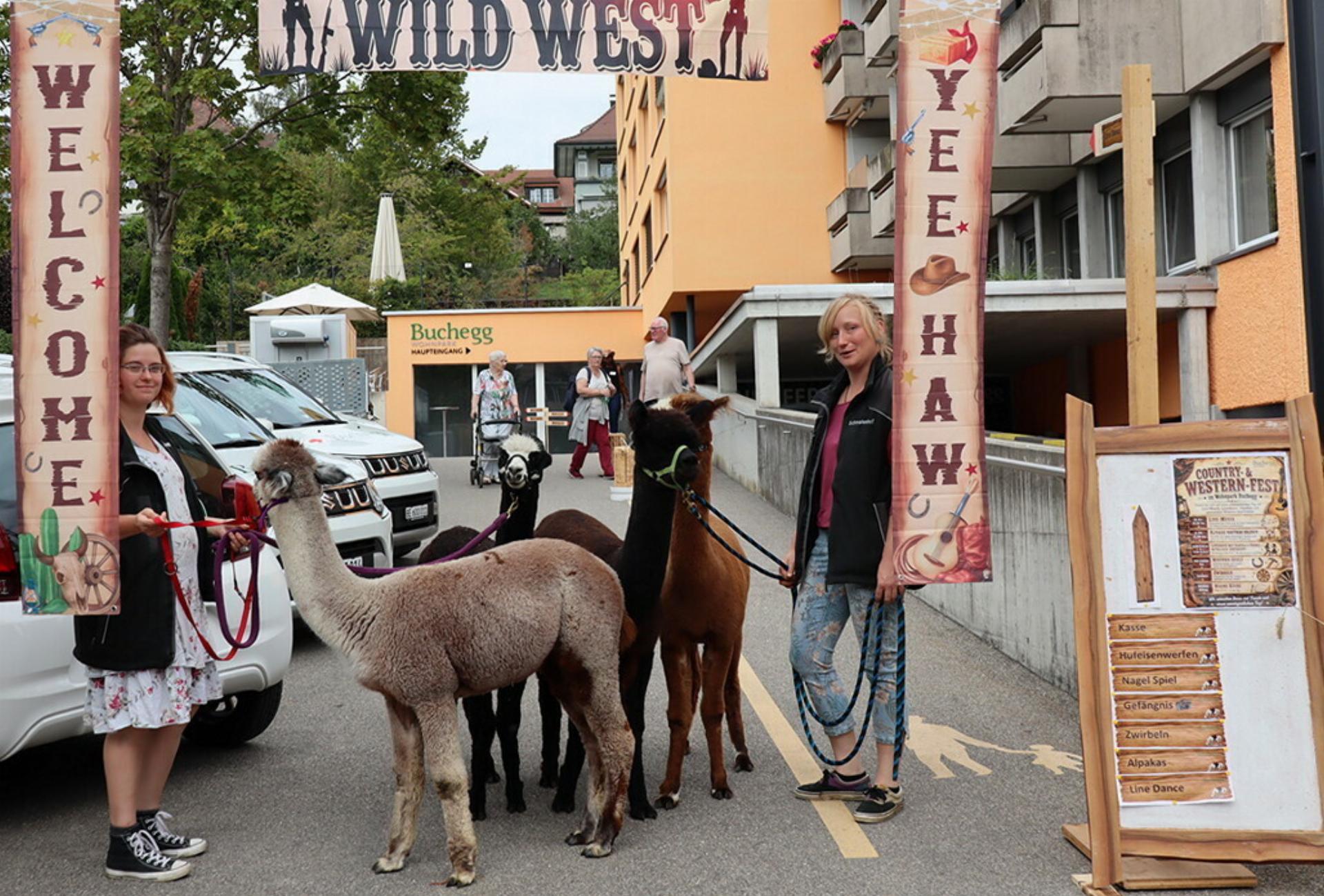 Ein Hauch von Wildwest im Wohnpark Buchegg - Das Bild wird blockiert. – Möglicherweise durch einen aktiven Adblocker.