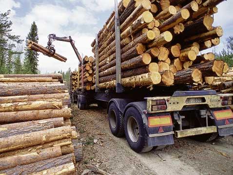 Auswirkung der Frankenstärke auf die regionale Wald- und Holzwirtschaft - Das Bild wird blockiert. – Möglicherweise durch einen aktiven Adblocker.