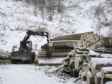 «Wo die Hand am Holz ist, sind die  Holzer glücklich – und effizient» 