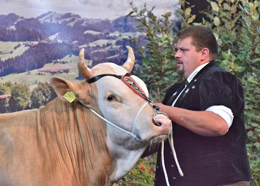 Gleich drei Munitaufen für die Schwingfeste 2024 in Burgdorf