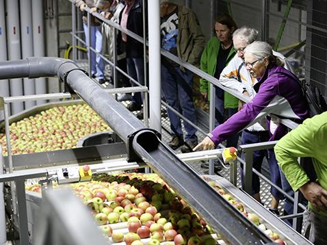 Neues Tafelobst-Kompetenzzentrum in Betrieb