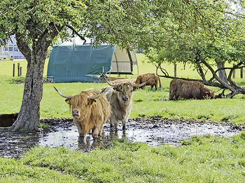 Theater und Hoffest auf der power-farm in Lyssach - Das Bild wird blockiert. – Möglicherweise durch einen aktiven Adblocker.