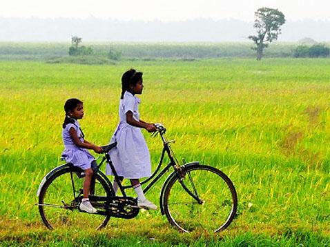 Foto Wanderausstellung Sri Lanka 2013/14 - Das Bild wird blockiert. – Möglicherweise durch einen aktiven Adblocker.