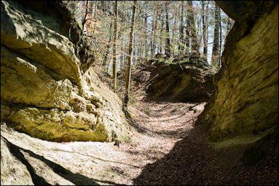 Fotoausstellung "Burgdorfer Wälder" - Das Bild wird blockiert. – Möglicherweise durch einen aktiven Adblocker.